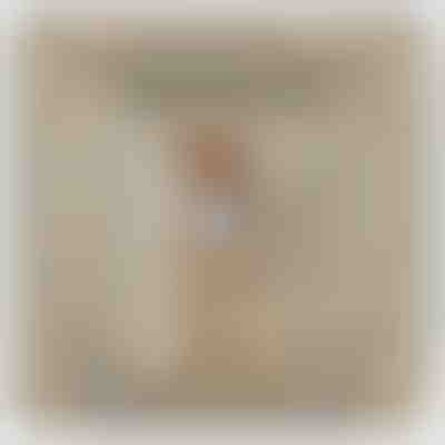 Για την κόρη μου – Κολιέ από λευκό χρυσό 14 καρατίων με ζιργκόν LILLIA