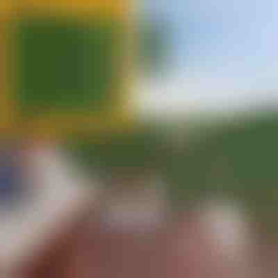 Πάνελ ιδιωτικότητας με τεχνητά φύλλα | LEAFPANEL